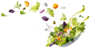 dish